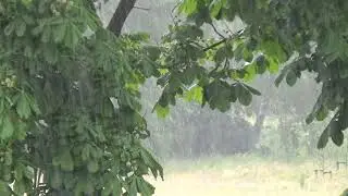 No Copyright Video - Heavy Rain Background Video - Free Stock Footage