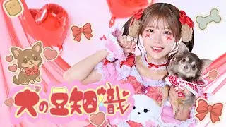【MV】犬の豆知識/ゆりぴ〜🐶🐾