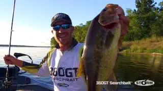 Storm 360GT Searchbait