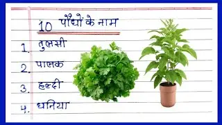 10 पौधों के नाम | 10 Plants Name in English | 10 Plants Name | 10 paudhon ke naam | Plants Name