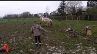 Jeux en fin de s&eacute;ance avec Quetsche