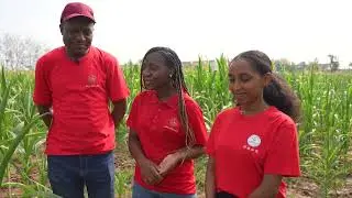 Sci-tech backyard program in north China's Hebei helps Africa's agricultural development