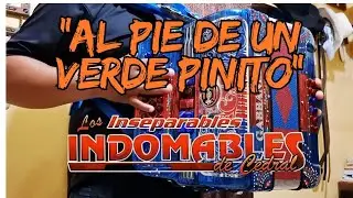 Al pie de un verde pinito - Instruccional Acordeón - Los Indomables de Cedral