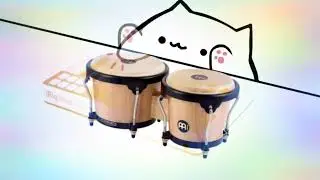 Bongo cat song
