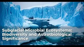 Subglacial Microbial Ecosystems: Biodiversity and Astrobiological Significance