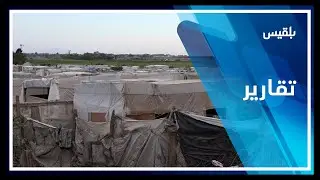 محافظة لحج.. أوضاع صعبة يعيشها نازحو مخيم المشقافة جراء نقض الغذاء والدواء | تقرير: سامح عبد الوهاب