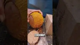 Как некоторые люди могут разбить кокос голыми руками?