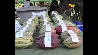 CHOCOLATE FESTIVAL