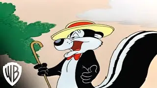 Looney Tunes | Pepe Le Pew Collection - Scent-Imental Romeo | Warner Bros. Entertainment