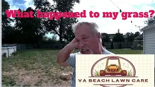 What happened to my lawn?