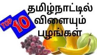 Top 10 cultivated fruits in TamilNadu | Fruits grown in Tamil Nadu | NammaooruGoogle