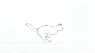 cat running - animation study