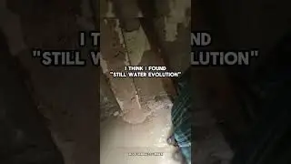 I think I found the EVOLUTION of 