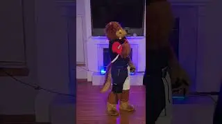 JD Puppy Dance Cover - Guilty - Taemin