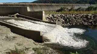 Vlog 1: Pennsylvania's Hidden Whitewater Park