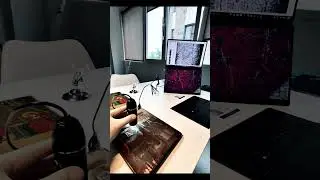 Microscopic observation with a digital microscope in the conservation of artworks
