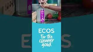 ECOS Product Intro