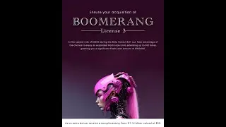 Boomerang Trade: The Ultimate Guide