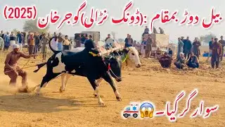 بیل دوڑ ورلڈکپ بمقام :(ڈھونگ نڑالی)گوجرخان (2025)(سوار گر گیا😱🚑)