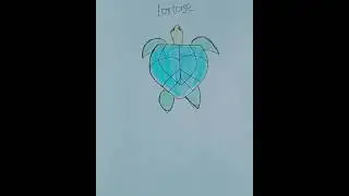 T letter drawing a 🐢tortoise|#shorts_drawingtortoise