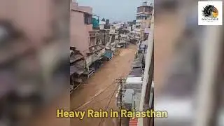 Heavy Rain in bundi Rajasthan | News | 2024
