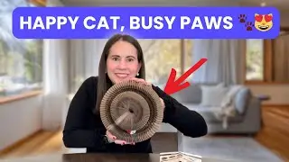 Interactive 3-Shape Cat Scratcher & Play Toy