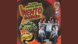 Sentimiento Calido