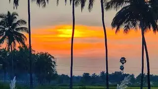 Phoenix On Wheels ♿️- Linsha Rose is live... എന്നും നന്മകൾ മാത്രം.. 🔥💪