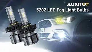 AUXITO 5202 LED Bulb Fog Light Bulbs, Fanless Design, 6000 Lumens 6500K White