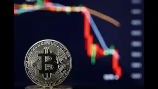Coinbase Cofounder Issues Serious Crypto Price Warning As Bitcoin &lsquo;Death
