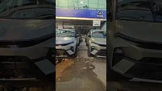Nexon Beige Color and Nexon Grey Color #shorts #tatanexon2025