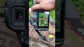 Canon 200d ii best photography 📸💥 #shorts #canon200dii #photography #ytshorts #short #camera