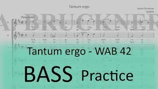 Bruckner WAB 42 (Tantum ergo) - Bass practice