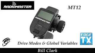 RadioMaster MT12 Drive Modes (DM) and Global Variables (GV)