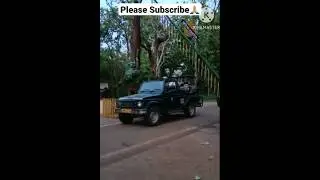Jungle Safari at Kanha National Park#kanhatigerreserve #Pugmark Resort Kanha#shorts #travelvlog