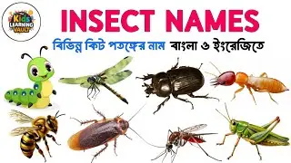 বিভিন্ন কিট পতঙ্গের নাম বাংলা ও ইংরেজিতে | Insect Names For Kid's - English and Bengali 2 