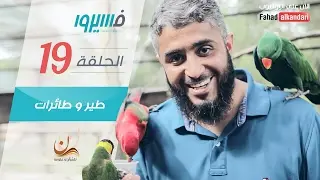 فهد الكندري - برنامج فسيروا - طير و طائرات - الحلقة 19 | Fahad AlKandari - Faseero - Eps# 19