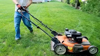 Mowing, Weed Wacking & Pollen Leaf Blowing - Mid May