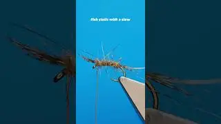 Are Shrimp Flies Underused Stillwater?