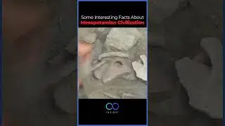 Mesopotamian Civilization #insight #facts