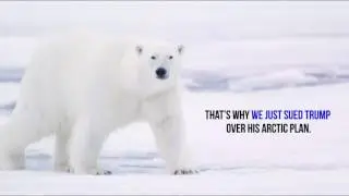 Fight Trump, Save the Arctic