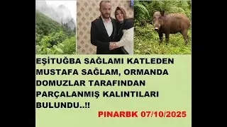 EŞİ TUĞBA'YI KATLEDEN MUSTAFA SAĞLAM, ORMANDA DOMUZLAR TARAFINDAN PAR&Ccedil;ALANMIŞ HALDE BULUNDU..!!
