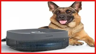 Loomla Cat Water Fountain,135oz4L Dog Water Bowl Dispenser Automatic Pet Water Fountain
