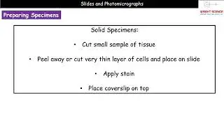 A Level Biology - 2.1.1.2 - Slides and Photomicrographs