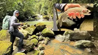 PESCA  DE TRUCHAS, CERCA A CASA - EJE CAFETERO COLOMBIA!🇨🇴