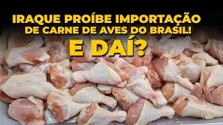 IRAQUE PROÍBE IMPORTAÇÃO DE CARNE DE AVES DO BRASIL! E DAÍ?