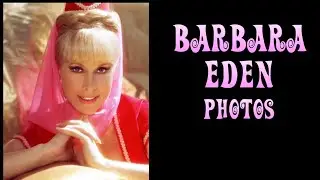 Barbara Eden photo - beautiful women