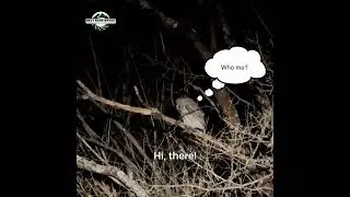 Screech 2 Part 1