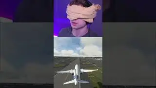 Landing an Airliner While BLINDFOLDED