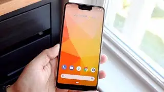 Google Pixel 3 XL In 2020! (Still Worth It?) (Review)